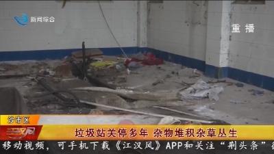 垃圾站关停多年    杂物堆积杂草丛生