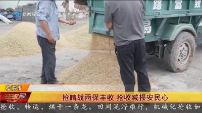 抢晴战雨保丰收 抢收减损安民心