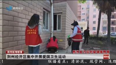 荆州经开区集中开展爱国卫生运动