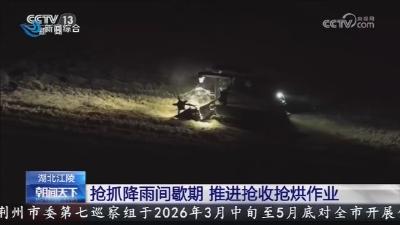 抢抓降雨间歇期   推进抢收抢烘作业