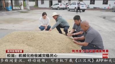 松滋:机械化抢收减灾稳民心