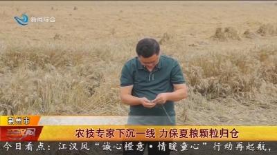 农技专家下沉一线   力保夏粮颗粒归仓