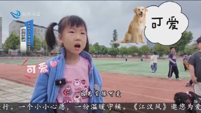 六一前夕关注留守儿童    微心愿征集活动正在进行