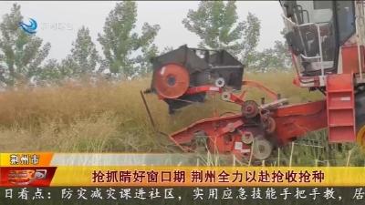抢抓晴好窗口期   荆州全力以赴抢收抢种