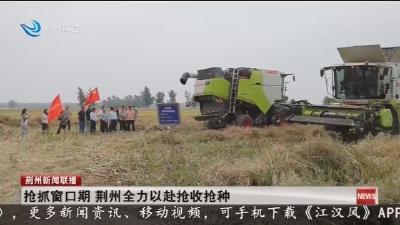 抢抓窗口期    荆州全力以赴抢收抢种