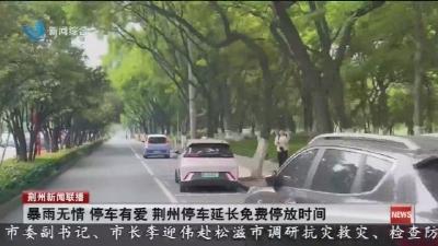 暴雨无情 停车有爱 荆州停车延长免费停放时间