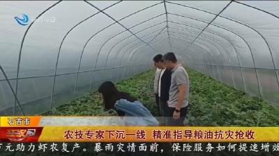 农技专家下沉一线 精准指导粮油抗灾抢收