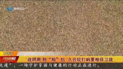 战阴雨抢“粮”机  久合垸打响夏粮保卫战