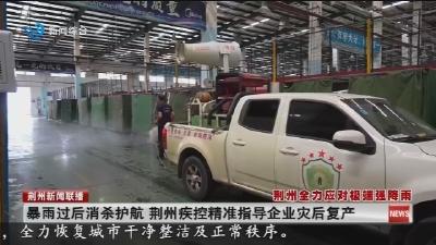 暴雨过后消杀护航 荆州疾控精准指导企业灾后复产