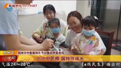 小小中医师 国粹伴成长