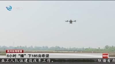 6小时 “播” 下185亩希望