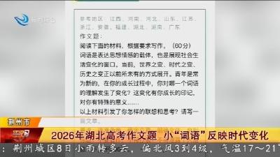 2026年湖北高考作文题  小“词语”反映时代变化