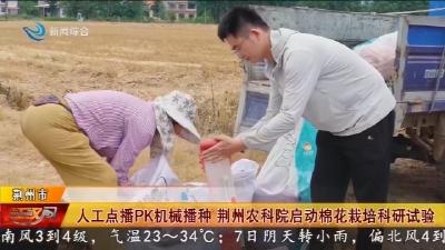 人工点播PK机械播种 荆州农科院启动棉花栽培科研试验