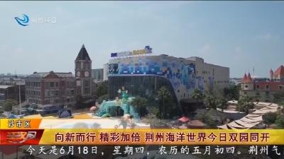 向新而行 精彩加倍 荆州海洋世界今日双园同开