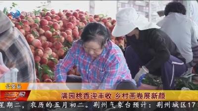 满园桃香迎丰收 乡村画卷展新颜