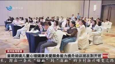 首期困境儿童心理健康关爱服务能力提升培训班在荆开班