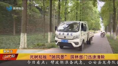 死树枯枝“煞风景” 园林部门迅速清除