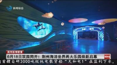6月18日双园同开! 荆州海洋世界两大乐园焕新启幕