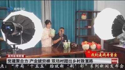 党建聚合力 产业拔穷根 双垱村蹚出乡村致富路