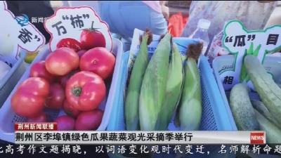 荆州区李埠镇绿色瓜果蔬菜观光采摘季举行