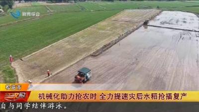 机械化助力抢农时 全力提速灾后水稻抢插复产