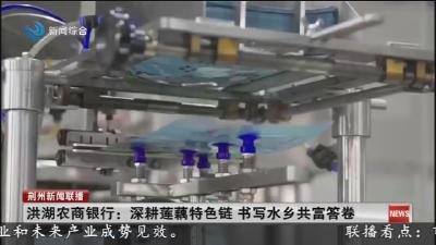 洪湖农商银行: 深耕莲藕特色链 书写水乡共富答卷