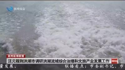 汪元程到洪湖市调研洪湖流域综合治理和文旅产业发展工作