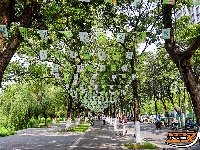 图集 | 碧波路改造收尾 端午将迎全新活动舞台