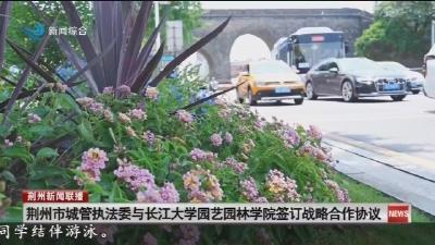 荆州市城管执法委与长江大学园艺园林学院签订战略合作协议