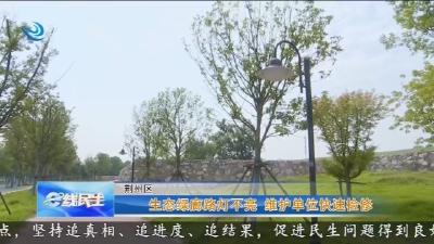 生态绿廊路灯不亮   维护单位快速检修