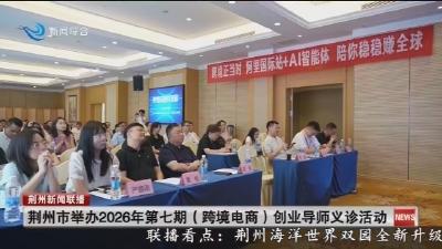 荆州市举办2026年第七期(跨境电商)创业导师义诊活动