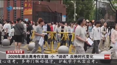 2026年湖北高考作文题 小“词语”反映时代变化