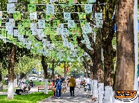 图集 | 碧波路改造收尾 端午将迎全新活动舞台