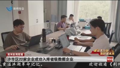 沙市区22家企业成功入库省级数据企业