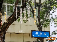 图集 | 碧波路改造收尾 端午将迎全新活动舞台