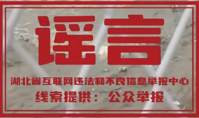 安陆府河洪水冲断了桥梁？假的！造谣者已被处罚