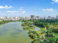 盛夏绿意浓 沙市中山公园变身“纳凉绿洲”
