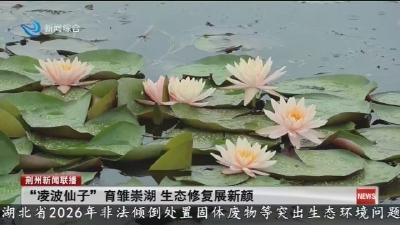 “凌波仙子” 育雏崇湖  生态修复展新颜