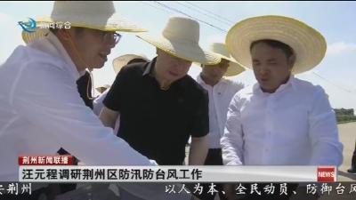 汪元程调研荆州区防汛防台风工作