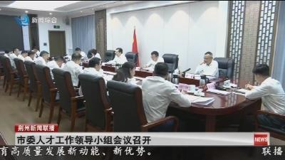 市委人才工作领导小组会议召开