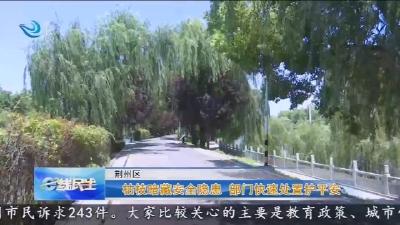 枯枝暗藏安全隐患 部门快速处置护平安