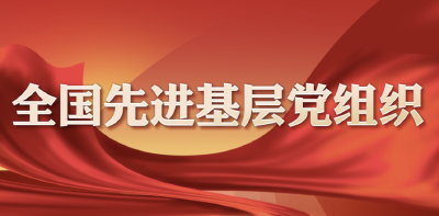 荆州这个基层党组织获全国表彰！