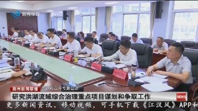 研究洪湖流域综合治理重点项目谋划和争取工作