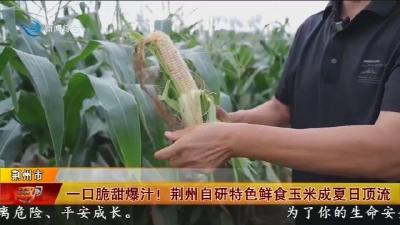 一口脆甜爆汁 !  荆州自研特色鲜食玉米成夏日顶流