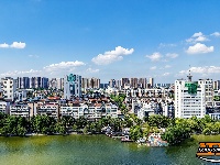 盛夏绿意浓 沙市中山公园变身“纳凉绿洲”
