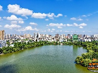 盛夏绿意浓 沙市中山公园变身“纳凉绿洲”