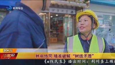 林电协同 精准破解“树线矛盾”