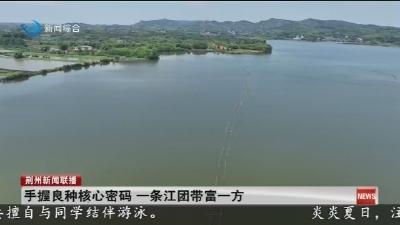 手握良种核心密码 一条江团带富一方