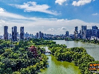 盛夏绿意浓 沙市中山公园变身“纳凉绿洲”