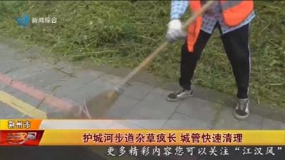 护城河步道杂草疯长   城管快速清理